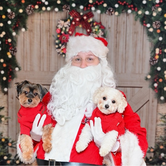 Meet your Posher, Anna - Picture 1 of 1